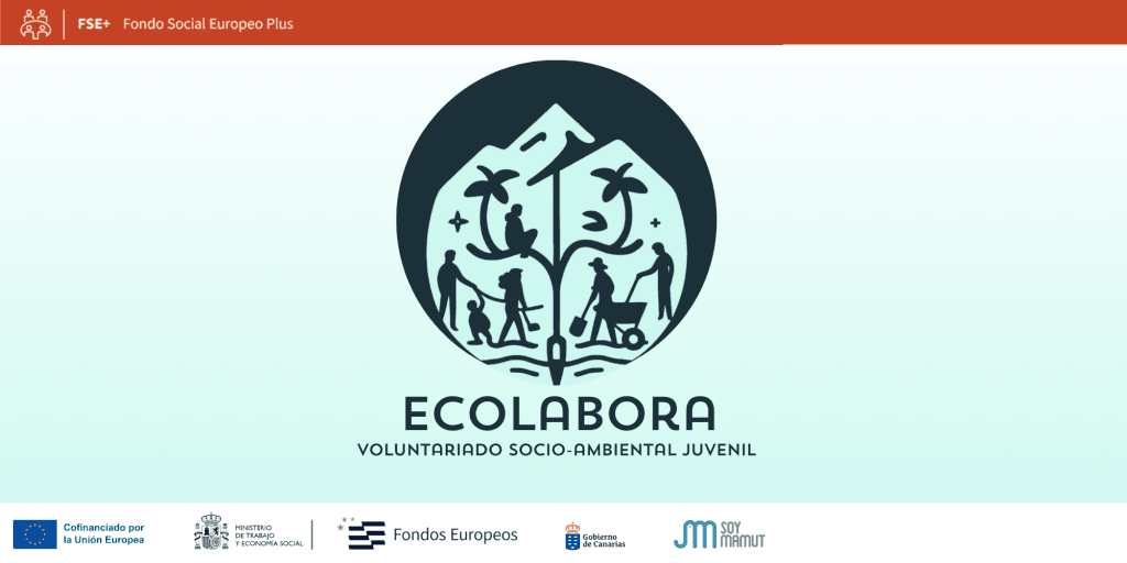 Material. Cartel Proyecto. Horizontal 2x1