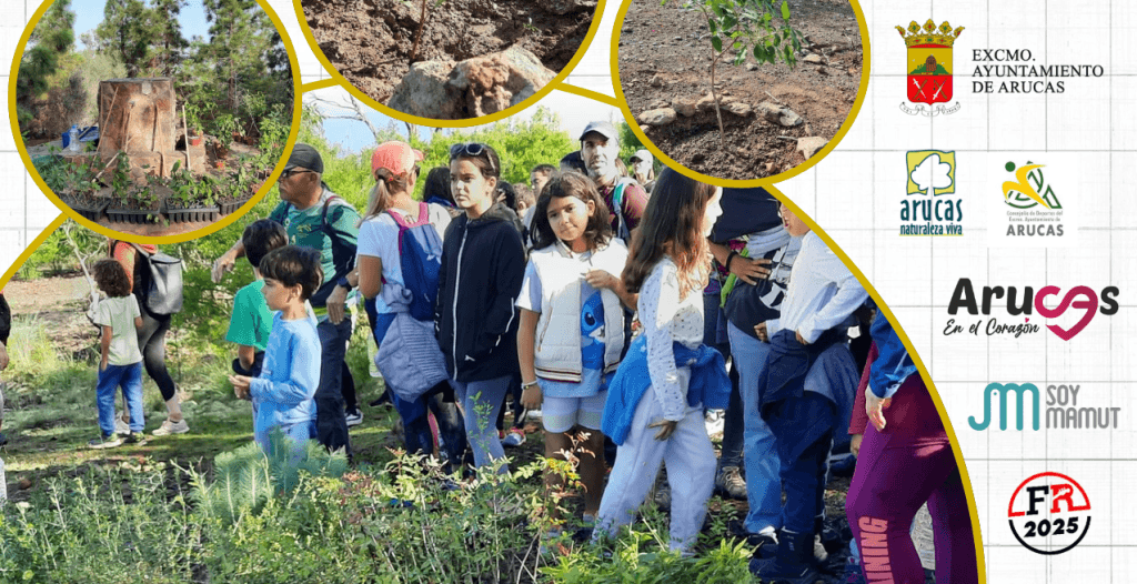 2025. 30 Nviembre. Día Municipal del Árbol. Arucas. Lomo Jurgón. Soy Mamut