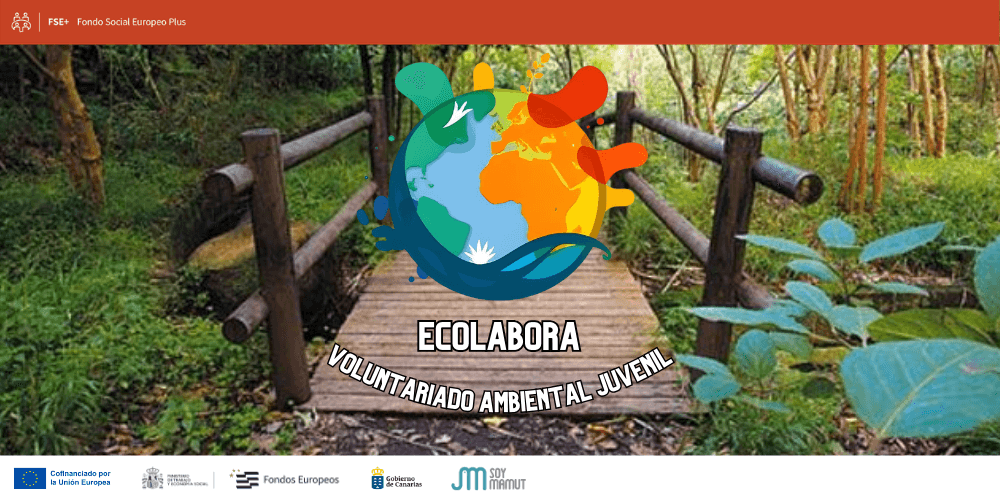 ECOlabora 2024-2025. 2-1